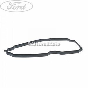 Garnitura separator ulei Ford Focus (2008-2011) 1.6 Ti 115 HP oe 1008056