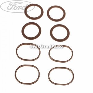 Garnitura set galerie admisie Ford S-Max (2007-2014) 2.2 TDCi 175 HP oe 1466211