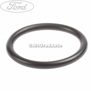 Garnitura sorb pompa ulei Ford Focus (1998-2004) 1.4 16V 75 HP oe 1007709