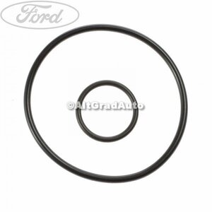 Garnitura supapa sens pompa vacuum Ford Focus (2008-2011) 2.0 TDCi 110 HP oe 1380568