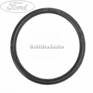 Garnitura termostat 55 mm Ford fiesta 5  1.3
