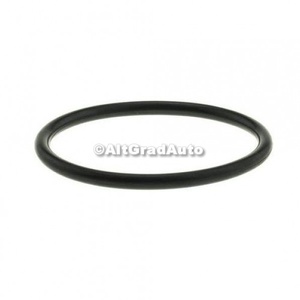 Garnitura termostat Ford Mustang (2018-2022) 5.0 V8 450 HP oe 5054065