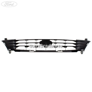 Grila radiator Ford fiesta 4 1.0 i