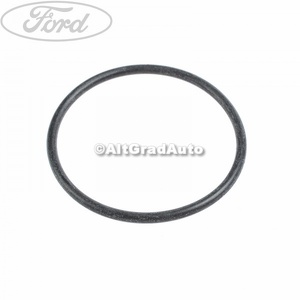 Inel simering diferential fata Ford Ranger (2012-2015) 2.2 TDCi 4x4 150 HP oe 1733102