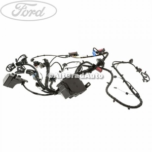 Instalatie electrica motor Ford fiesta mk 7 1.4 tdci