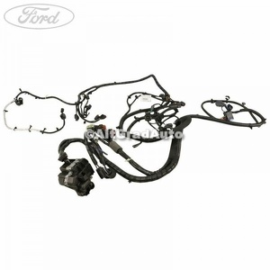 Instalatie electrica motor echipare Powershift an 03/2010-09/2010 Ford s max 2.0 tdci
