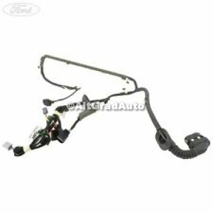 Instalatie electrica usa fata dreapta Ford Kuga (2013-2016) 1.5 EcoBoost 150 HP oe 1844874