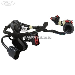 Instalatie electrica usa fata dreapta an 09/2010-01/2015 Ford S-Max (2007-2014) 2.0 TDCi 115 HP oe 1770349