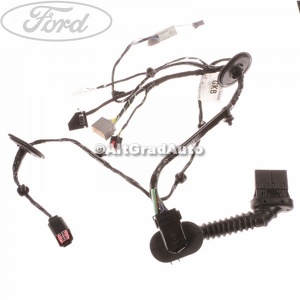 Instalatie electrica usa fata stanga 5 usi Ford Focus (2008-2011) 1.4 80 HP oe 1667982