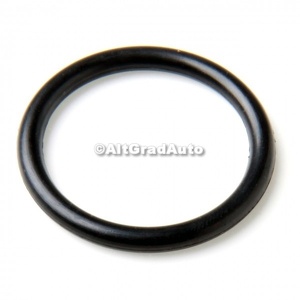 O-ring motoras etrier Ford Mondeo (2014-2018) 1.0 EcoBoost 125 HP oe 5219947