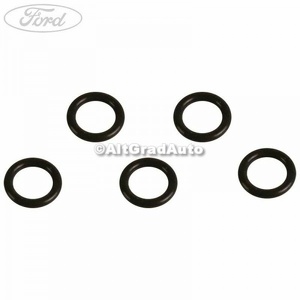 O ring chiulasa 6 mm Ford Tourneo Connect (2013-2018) 1.6 TDCi 115 HP oe 1489123