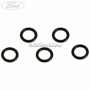 O ring chiulasa 6 mm Ford tourneo connect 2 1.6 tdci