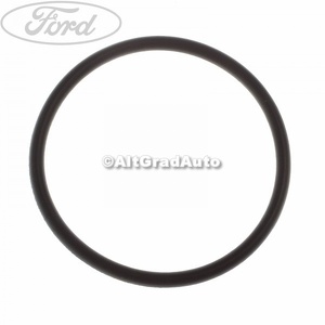 Oring ax pompa injectie Ford Ranger (2002-2006) 2.5 D 78 HP oe 1494197