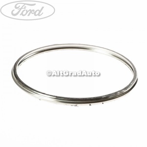 Oring catalizator Ford Escort (1995-1998) 1.8 Turbo D 70 HP oe 1090879