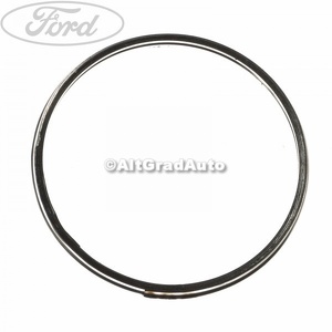 Oring catalizator Ford Focus (1998-2004) 2.0 16V 131 HP oe 1089965