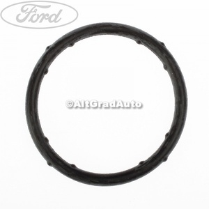Oring flansa termostat Ford Galaxy (1995-2000) 1.9 TDI 110 HP oe 1050267