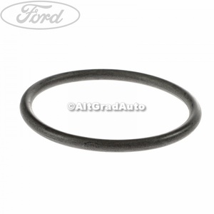 Oring flansa termostat Ford Galaxy (1995-2000) 1.9 TDI 110 HP oe 1144214