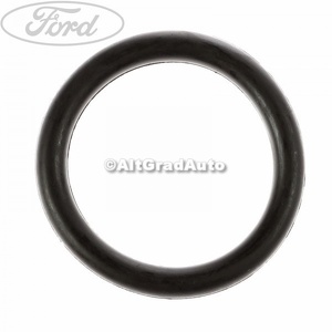 Oring galerie admisie Ford Grand C-Max (2011-2015) 2.0 TDCi 163 HP oe 1716024