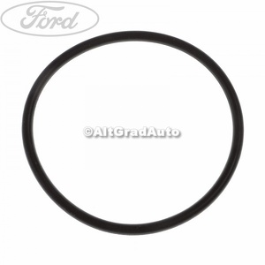 Oring mare pompa servodirectie Ford Ranger (2002-2006) 2.5 D 78 HP oe 1332894