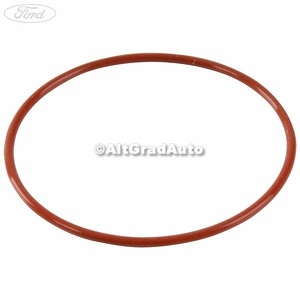 Oring mare pompa vacuum Ford Ranger (2002-2006) 2.5 D 78 HP oe 4037623