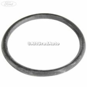 Oring planetara dreapta cutie automata Ford Galaxy (2000-2006) 1.9 TDI 90 HP oe 1027151