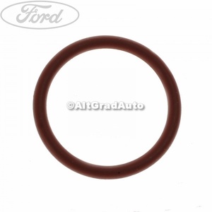 Oring pompa vacuum Ford Transit (1991-1994) 2.5 DI 80 HP oe 1657693