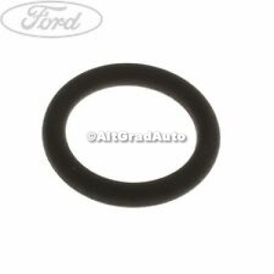 Oring rampa injectoare Ford Escort (1990-1995) RS 2000 150 HP oe 1665178