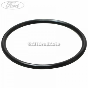 Oring senzor debitmetru aer Ford Ranger (2006-2012) 2.5 TDCi 4x4 143 HP oe 1449321