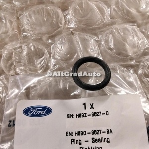 Oring separator ulei Ford Fiesta (2017-2023) 1.5 EcoBoost ST 200 HP oe 2224371