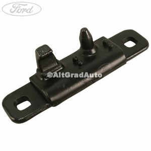 Platnic tata usa culisanta Ford transit nou 2.2 tdci 4x4