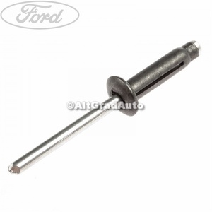 Popnit prindere bara plastic Ford  