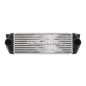 Radiator intercooler Ford tourneo connect mk1 1.8 di