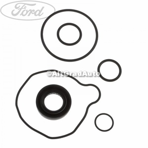 Set garnituri pompa servodirectie Ford Ranger (2012-2015) 2.2 TDCi 125 HP oe 1732883