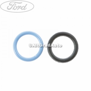 Set oring valva retur conducta filtru combustibil Ford Galaxy (1995-2000) 1.9 TDI 110 HP oe 1207381