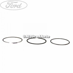 Set segmenti piston cota reparatie Ford c-max 3 1.6 tdci