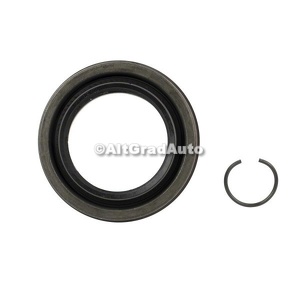 Simering ax planetara fata dreapta Ford Mustang Mach-E MACH-E (CGW) EV 4x4 337 HP oe 2515977