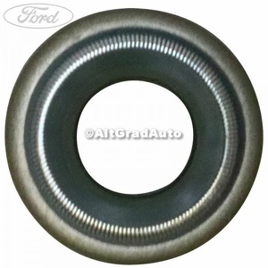 Simering supapa Ford Mustang (2018-2022) 5.0 V8 450 HP oe 2213060