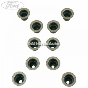 Simering supapa evacuare Ford Focus (1998-2004) 1.8 16V 115 HP oe 1086431