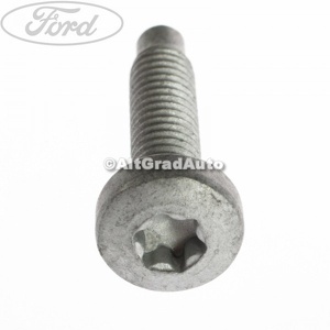 Surub 20 mm prindere maner usa culisanta Ford Tourneo Connect (2002-2014) 1.8 Di 75 HP oe 1447847
