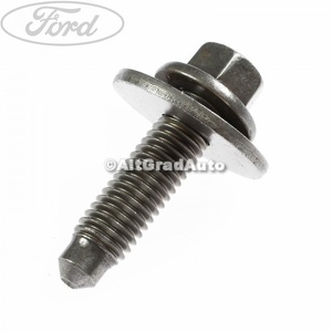 Surub 25 mm prindere balama usa spate inferioara Ford tourneo custom 2.0 ecoblue