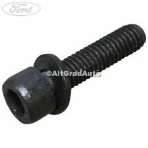 Surub 25 mm prindere supapa EGR Ford galaxy 2 2.2 tdci