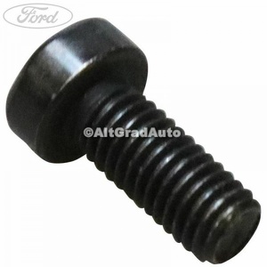 Surub prindere regulator pompa injectie Delphi Ford Galaxy (2007-2014) 2.0 TDCi 140 HP oe 1741539