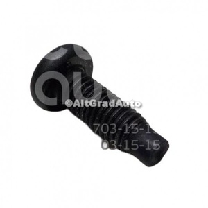 Surub prindere senzor engine shut off Ford Focus (2004-2007) 2.0 145 HP oe 1232392