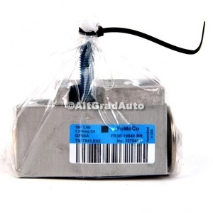 Valva evoparator Ford Mustang (2015-2018) 2.3 EcoBoost 314 HP oe 2068124