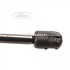 Amortizor hayon 893 mm Ford Transit MK7 2.4 TDCi 100 HP oe 1722219