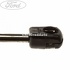 Amortizor hayon Cabriolet Ford Focus Mk2 1.6 100 HP Part Number 641L406A10AA