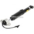 Amortizor spate GT Ford Mustang Mach-E MACH-E (CGW) EV GT 4x4 487 HP Part Number LK9C18W002AD