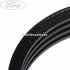 Curea servodirectie Ford Transit (2000-2006) 2.0 TDCi 125 HP oe 1120199