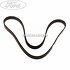 Curea transmisie Ford Kuga Mk1 2.0 TDCi 136 HP Part Number 4M5Q6C301MA