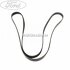 Curea transmisie cu AC si servodirectie Ford Focus Mk1 1.6 16V 100 HP Part Number 98MF6C301CC